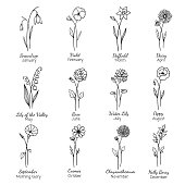 istock Birth month flowers set.Hand drawn flowers set. Silhouette vector flat illustration. Astrological zodiac, esoteric, tattoo. 1354939029