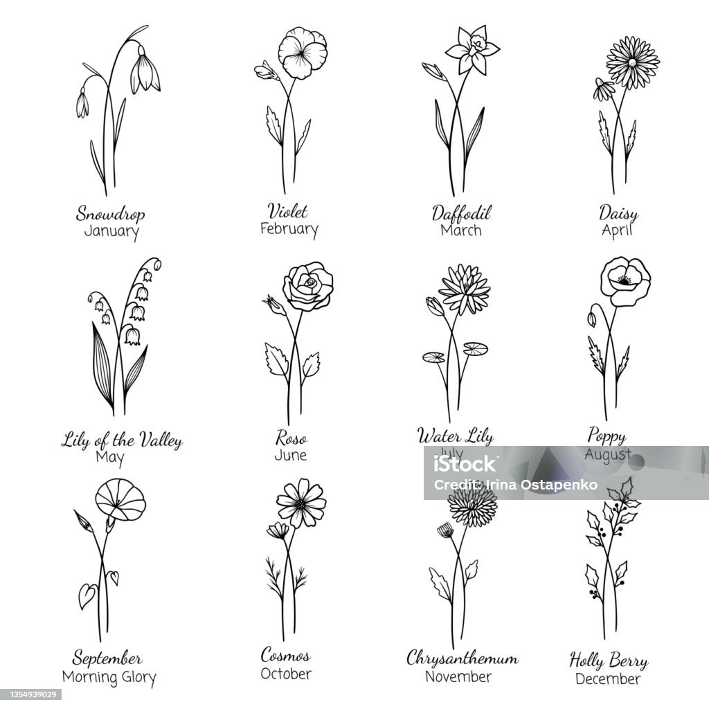 Birth Month Flowers Sethand Drawn Flowers Set Silhouette Vector Flat  Illustration Astrological Zodiac Esoteric Tattoo Stock Illustration -  Download Image Now - iStock