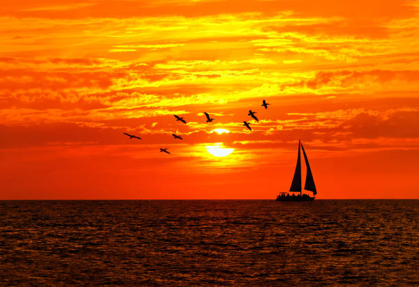 istock Sailboat Ocean Sailing Sunset Banner 1354940455