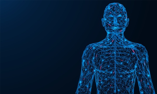 The human nervous system. Nerve impulses spreading through the body. A low-poly construction of interconnected lines and dots. Blue background.