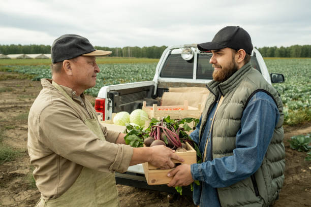 Giving Box Of Fresh Vegetables