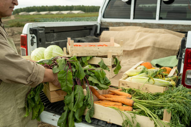 istock Loading Pickup Truck Cabin With Organic Food 1354942881