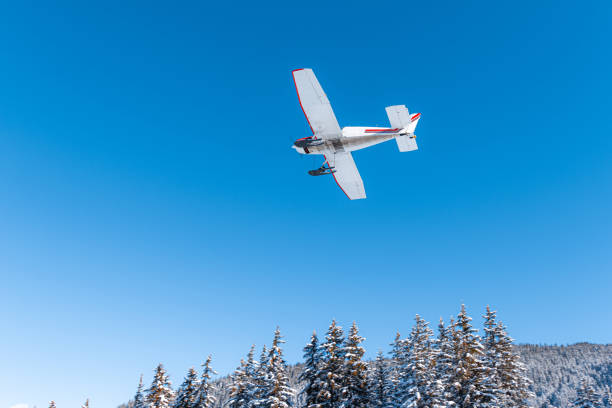 istock Propeller airplane winter landscape 1354943291