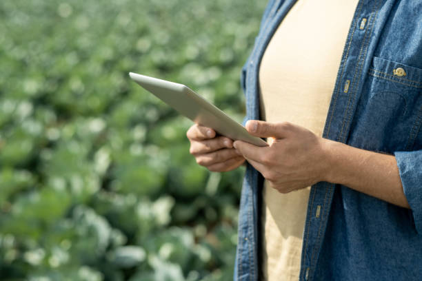 istock Agricultural Specialist With Tablet 1354946156