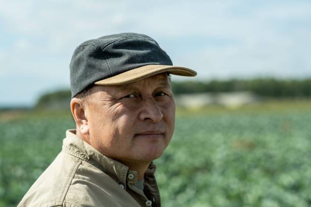 istock Asian Farmer In Cabbage Field 1354946445