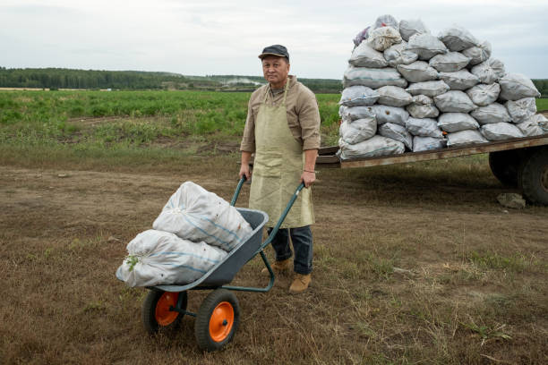 istock Mature Asian Farmer With Wheelbarrow 1354946718