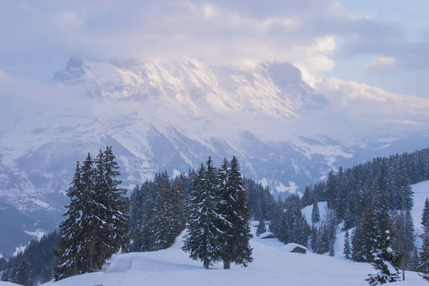 Beautiful panoramic view of snow-capped mountains in the Swiss Alps. Snow-capped mountains in Switzerland. Taken in Jungfrau region, Grindelwald, Switzerland. Grindlewald stock pictures, royalty-free photos & images