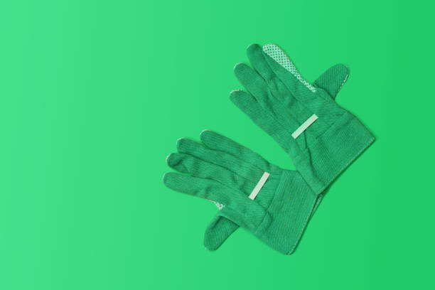istock Gardening Gloves On Green 1354949517