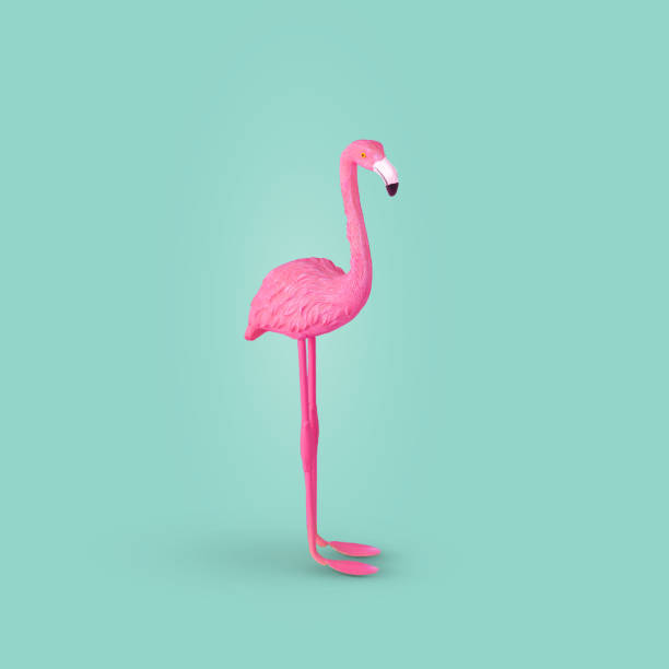 istock Pink flamingo bird on pastel turquoise background. 1354951814