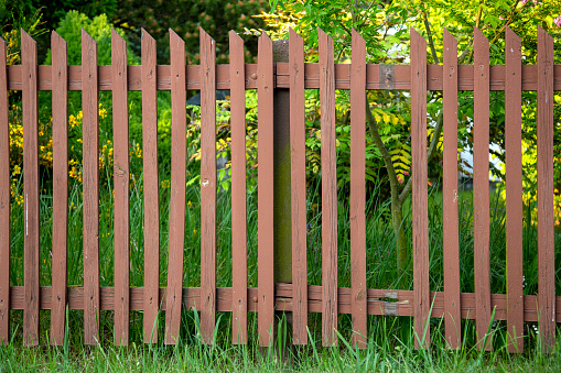 Wooden garden fence with a missing plank
