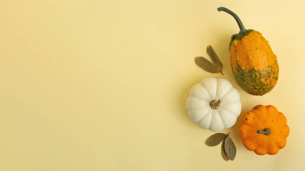 istock Different pumpkins on the yellow background.Autumn large banner. 1354957522