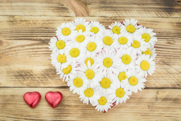 istock beautiful summer background with white daisy 1354959010