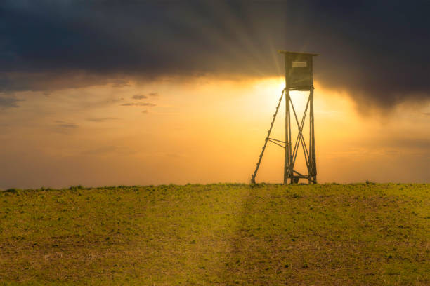 Hunting high seat at sunset