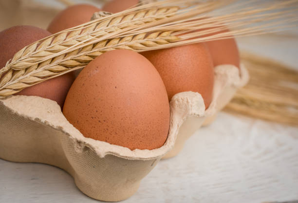 ceramic dishes with chicken eggs
