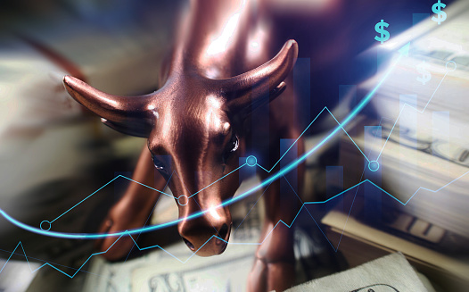 Investments Growing In Equity Over Bull Market Run