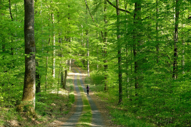 One sporty woman with long black hair running on forest trail.