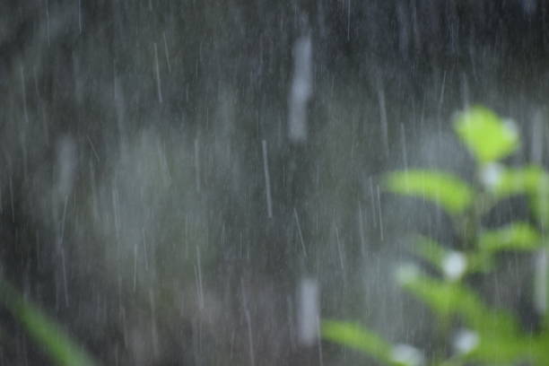 istock Water view caused by heavy rain 1354965158