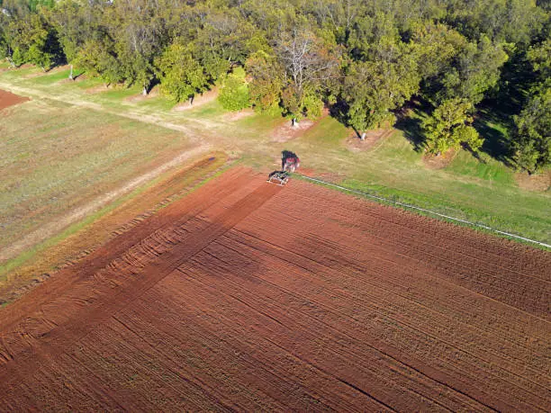 Aerial View of red tractor tilling field and pecan orchard