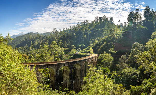 Panorama of Nine arch bridge in Nuwara Eliya, Sri Lanka