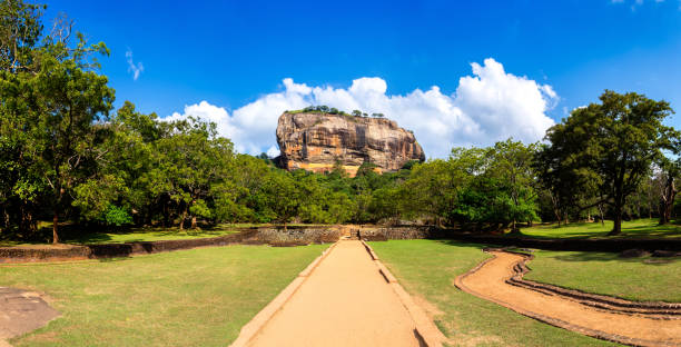 lion rock in sigiriya - buddhism sigiriya old famous place imagens e fotografias de stock