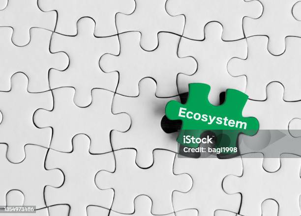 The Word Ecosystem Surrounded By Puzzle Pieces Stock Photo - Download Image Now - Ecosystem, Environment, Organization