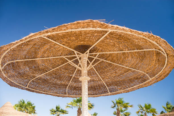 istock Thatched umbrella in sunny beach. Vacation 1354974933