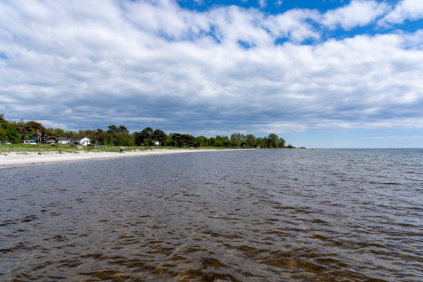 beliebter weißer sandstrand und entspannende umgebung in skare skansar in schweden. - trelleborg stock-fotos und bilder