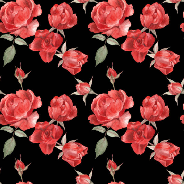 867 Red Flower Black Background Illustrations & Clip Art - iStock