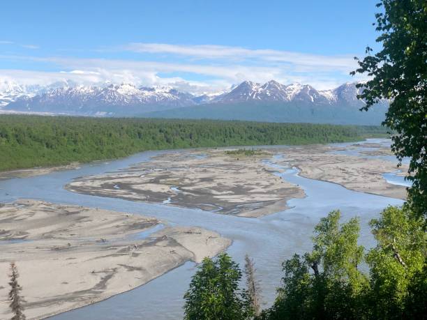 Denali state park Alaska Mount Denali chugach national forest photos stock pictures, royalty-free photos & images