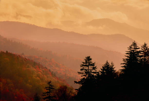 istock Great Smoky Mountains NP, TN 1354991014