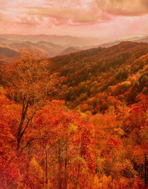 istock Great Smoky Mountains National Park TN 1354991028