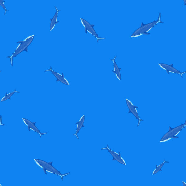 nahtloses muster tigerhai hellblauer hintergrund. blaue textur von meeresfischen für jeden zweck. - sand tiger shark stock-grafiken, -clipart, -cartoons und -symbole