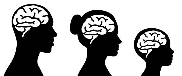 인간의 머리에 있는 두뇌를 아이콘 - silhouette women black and white side view stock illustrations