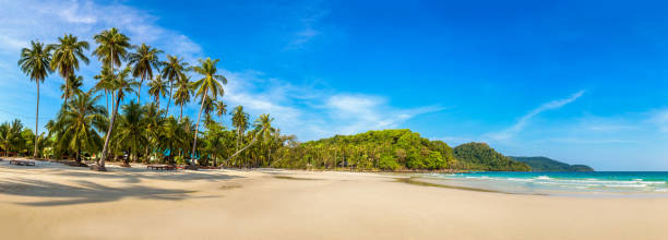 istock Panorama of  Tropical beach 1355000472