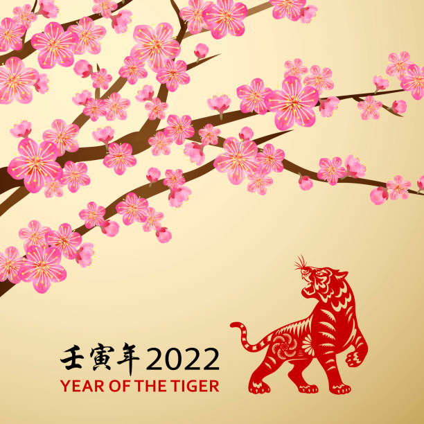 ilustraciones, imágenes clip art, dibujos animados e iconos de stock de flor de ciruelo del año del tigre - cherry blossom blossom cherry tree sakura