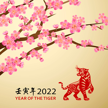 Celebrate Year of the Tiger 2022 with papercutting red tiger on the plum blossom background, the Chinese phrase means year of the tiger according to lunar calendar system