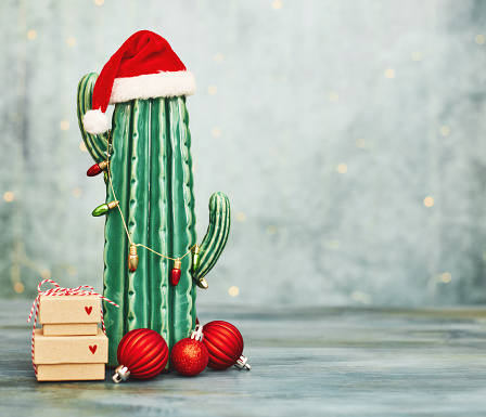 Cactus wearing a Santa hat decorated as a Christmas tree with stack of Christmas presents