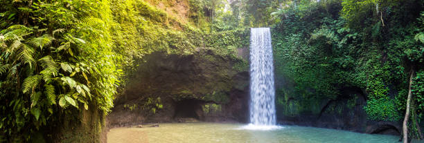 istock Tibumana waterfall in Bali 1355013001