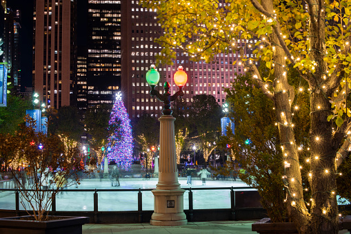 Night winter scene in downtown Chicago with skating rink, trees illuminated with lights.