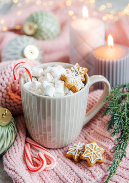 istock Christmas hot chocolate with marshmallow 1355021411