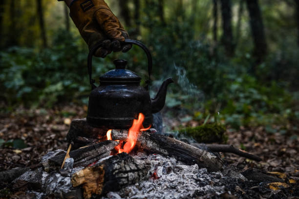istock Old vintage black pot on Firewood burning. kettle on fire 1355022235