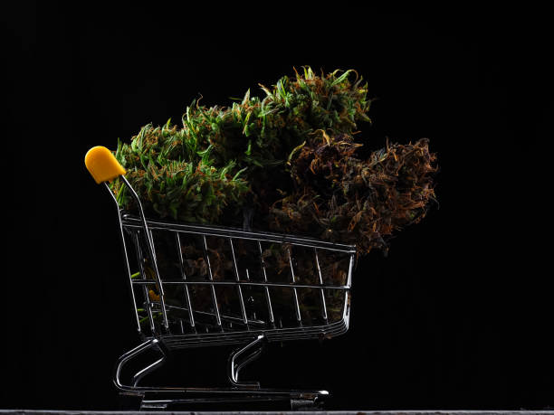 marijuana weed on black background.online purchase of cannabis plant.shopping cart filled. medical cannabis sale investment stock photo
