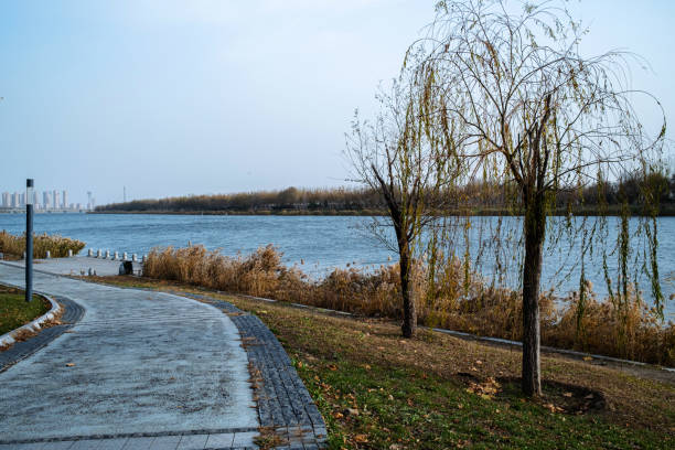 istock walkway in park at riverside 1355024964