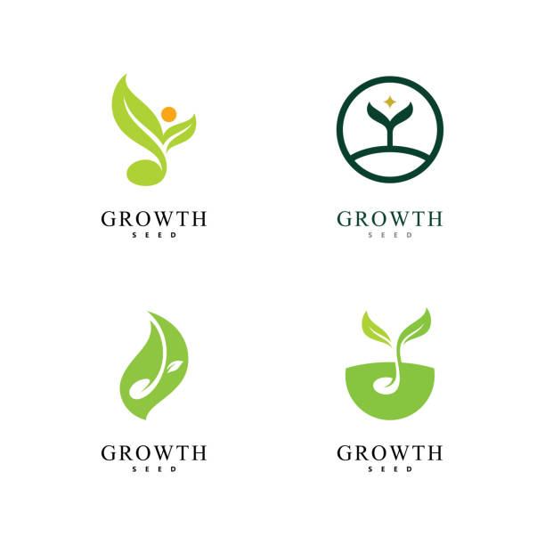 ilustraciones, imágenes clip art, dibujos animados e iconos de stock de ilustración vectorial del icono del logotipo de la semilla verde - semillas