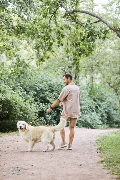 istock Man Walking Dog in Park 1355031539