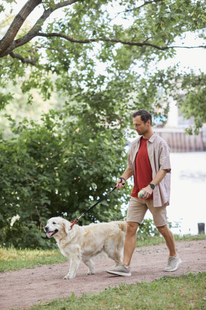 istock Man Walking Dog in Park Side View 1355031543