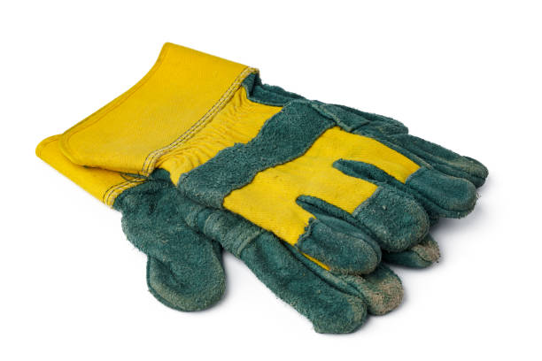 istock Pair of work gloves isolated on white background 1355038004