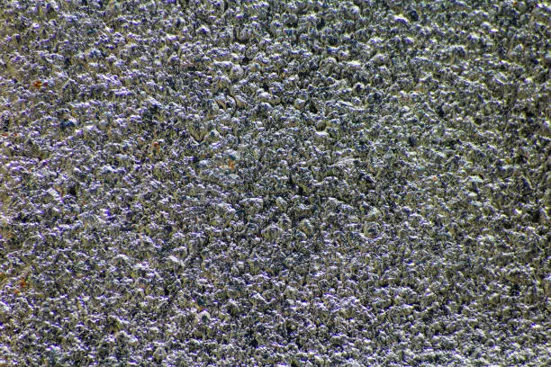 Photo of Chrom vanadium steel metal texture. Silver macro background