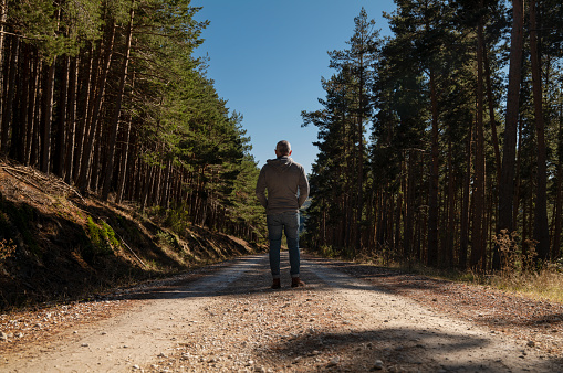 Portrait of adult man in country road in pine forest against blue sky, in Guadalajara, Spain