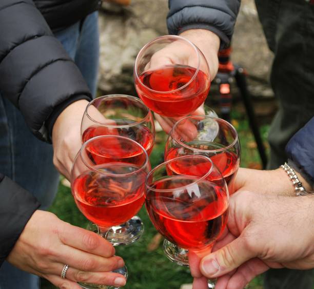 istock Meeting and toast between friends 1 1355044060